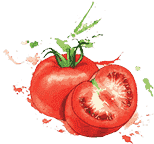 一秒发1000条手机号的软件